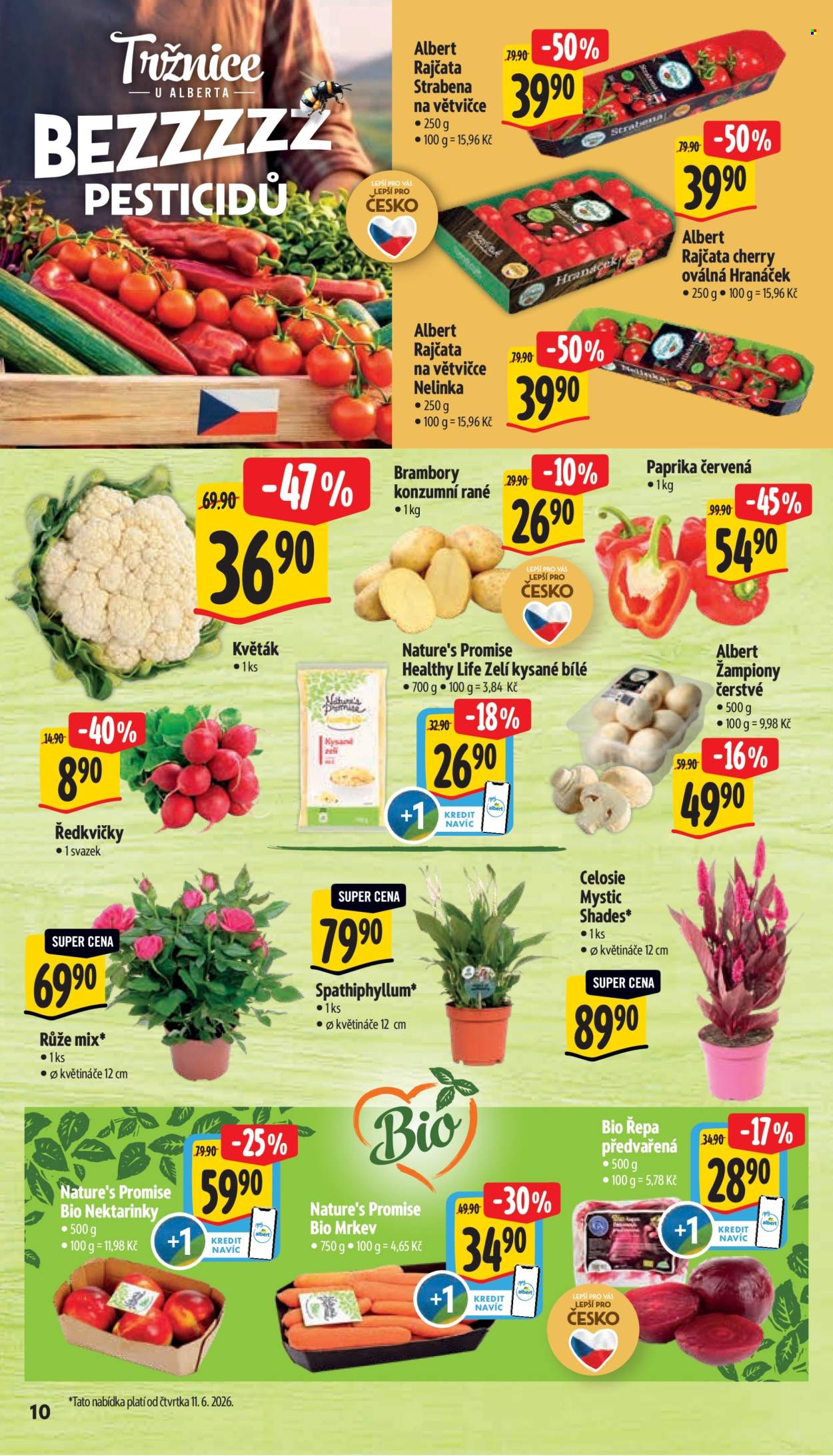 Leták Albert Supermarket - 10. 6. 2026 - 16. 6. 2026. Strana 16