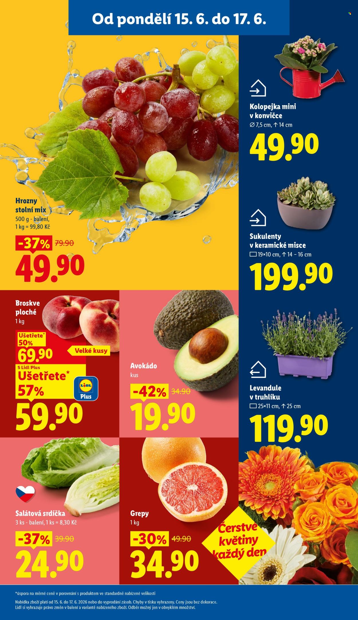 Leták Lidl - 15. 6. 2026 - 17. 6. 2026. Strana 11