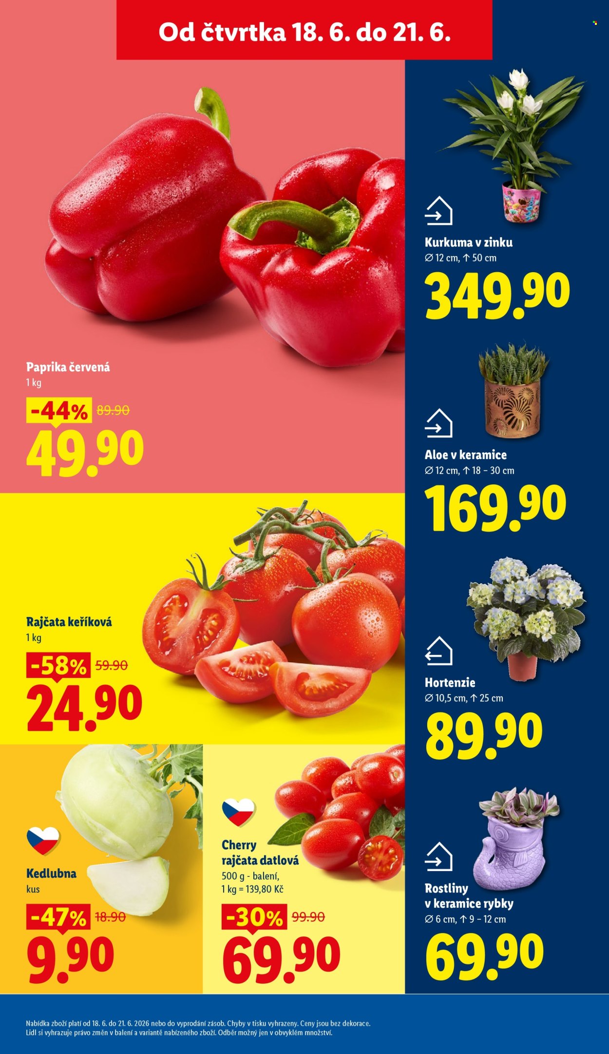 Leták Lidl - 18. 6. 2026 - 21. 6. 2026. Strana 9