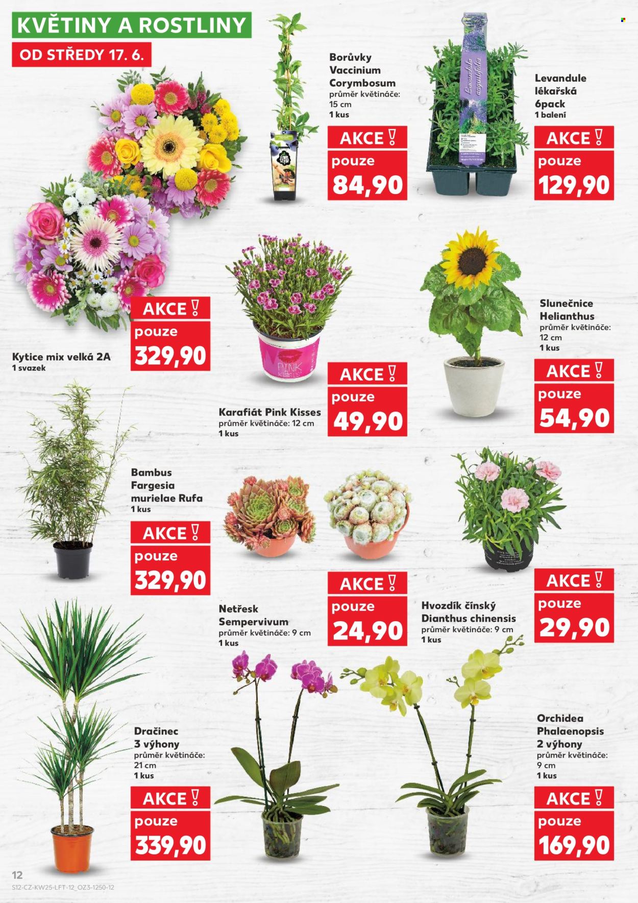 Leták Kaufland - 17. 6. 2026 - 23. 6. 2026. Strana 12