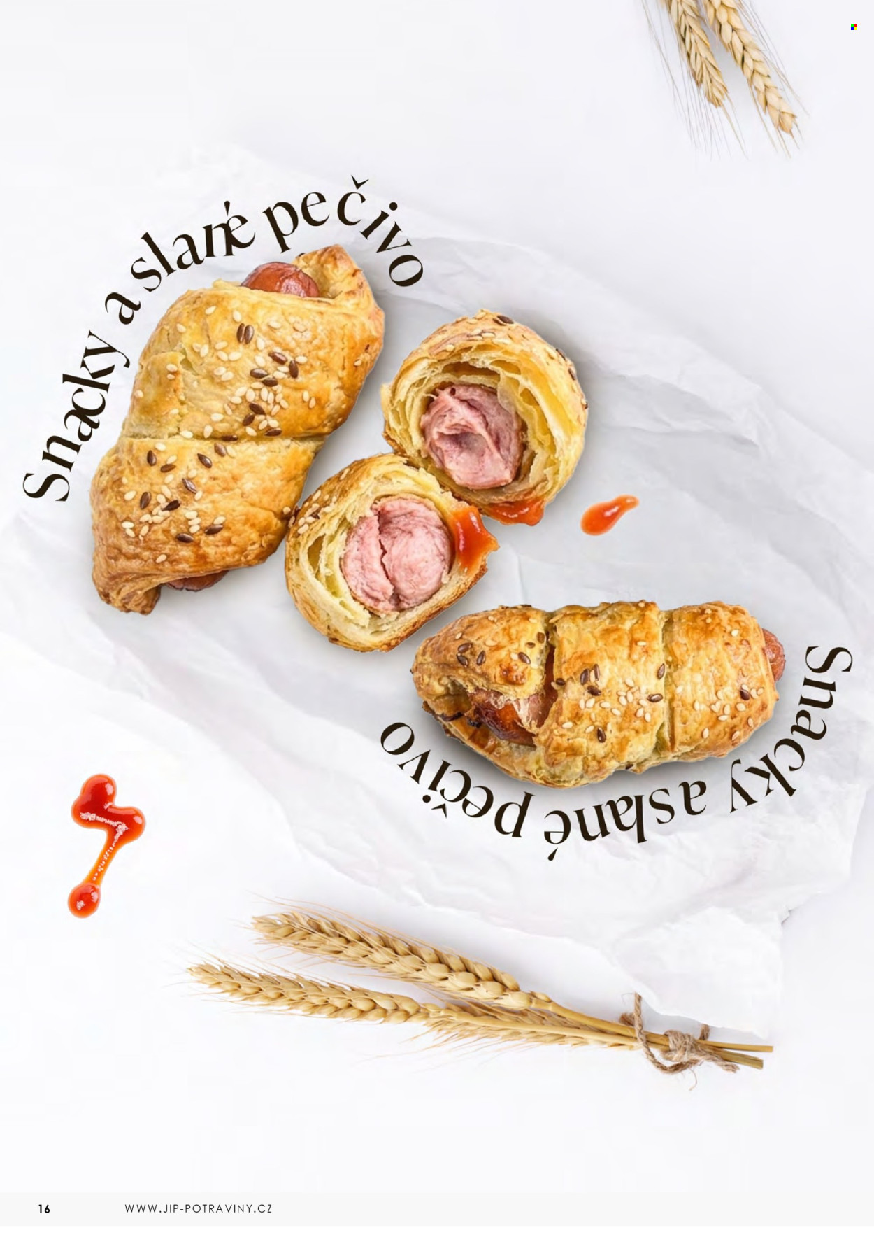 Leták JIP. Strana 16