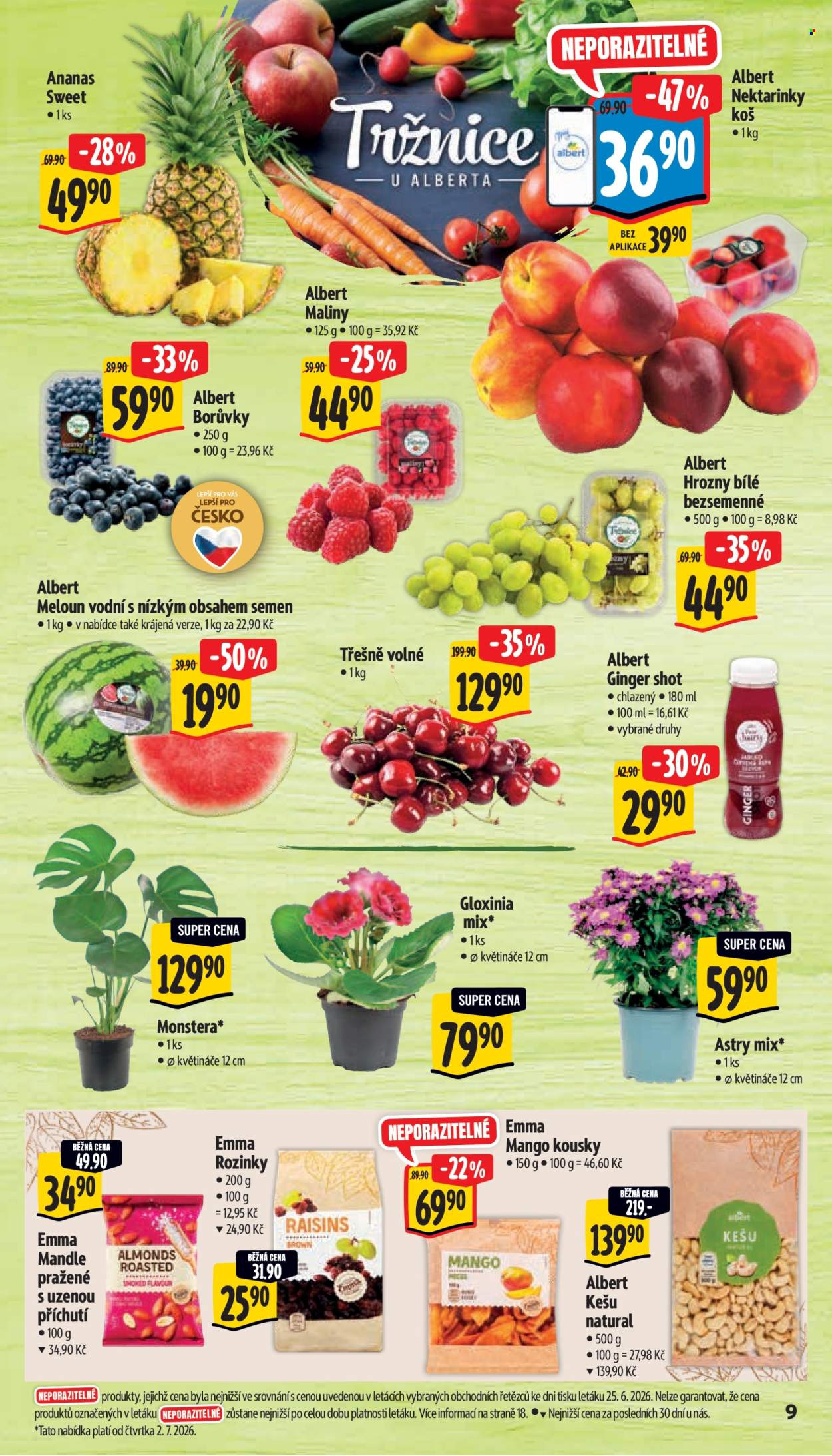 Leták Albert Supermarket - 1. 7. 2026 - 7. 7. 2026. Strana 15