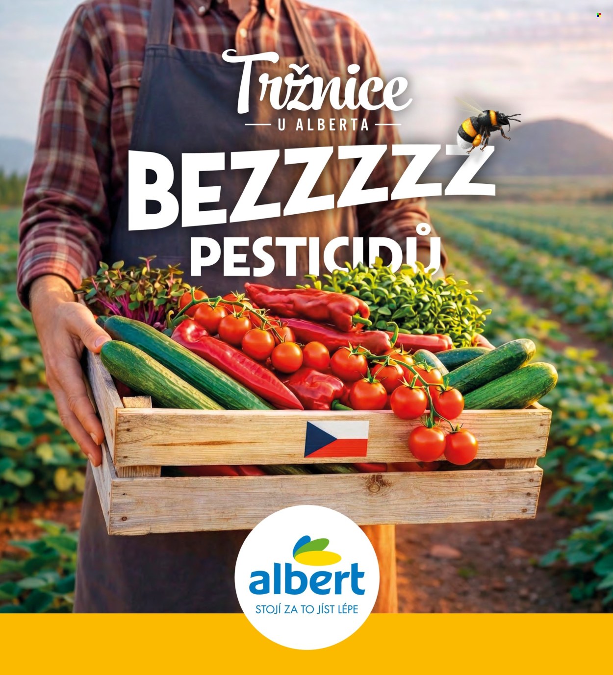 Leták Albert - 1. 7. 2026 - 1. 9. 2026. Strana 2