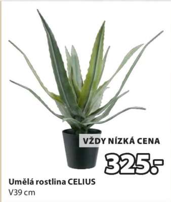 UMĚLÁ ROSTLINA CELIUS