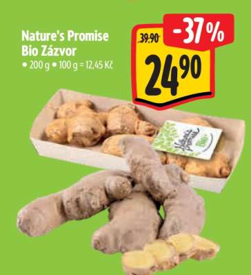Nature's Promise Bio Zázvor