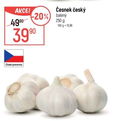 ČESNEK ČESKÝ