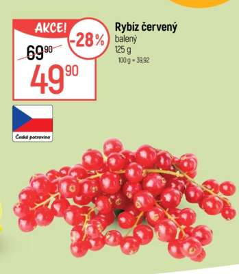 Rybíz červený