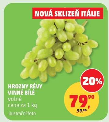 HROZNY RÉVY VINNÉ BÍLÉ