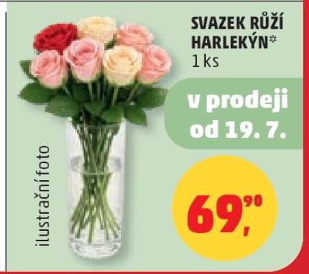 Svazek růží Harlekýn