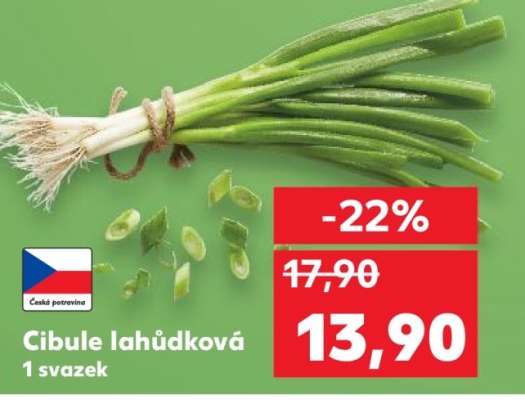 Cibule lahůdková