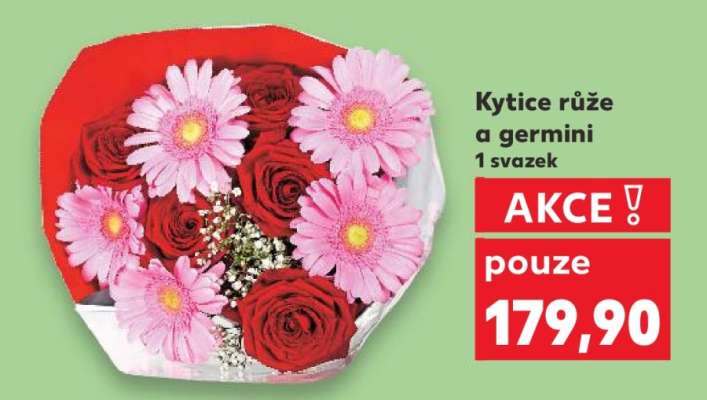 Kytice - Růže a germini