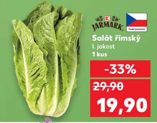 Salát římský