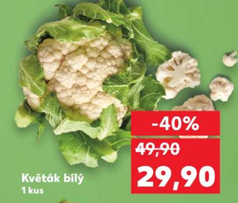 Květák bílý