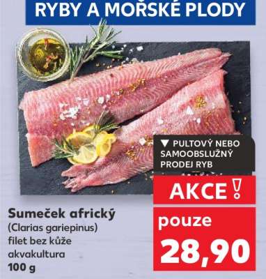 Sumeček africký
