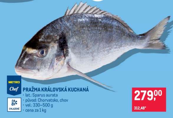 Pražma královská kuchaná