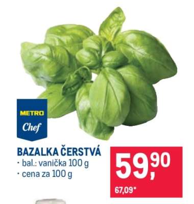 BAZALKA ČERSTVÁ