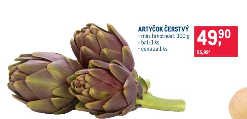 ARTYČOK ČERSTVÝ