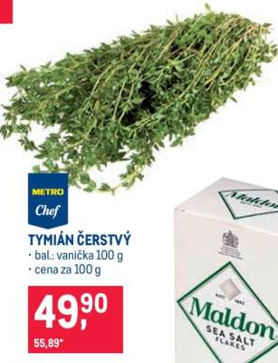 TYMIÁN ČERSTVÝ