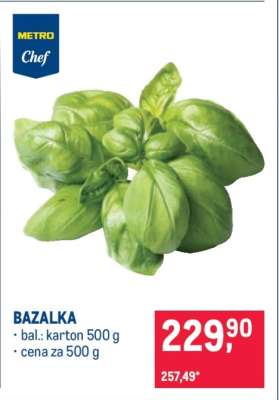 Bazalka