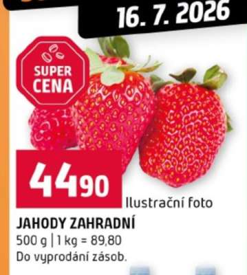 Jahody zahradní