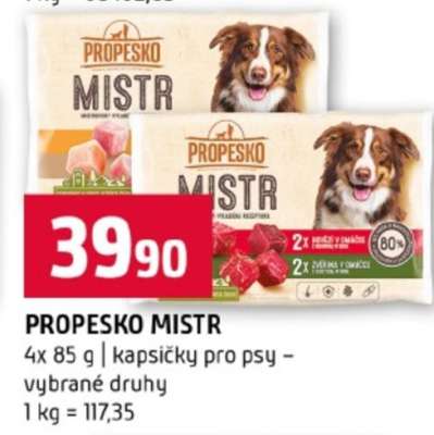 Propesko Mistr