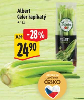 Albert Celer řapíkatý