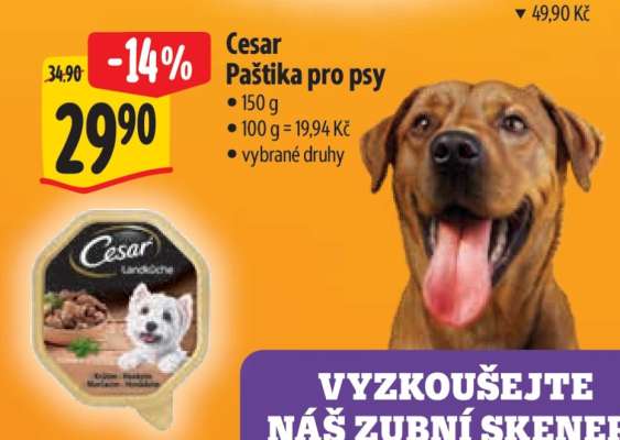 Cesar Paštika pro psy