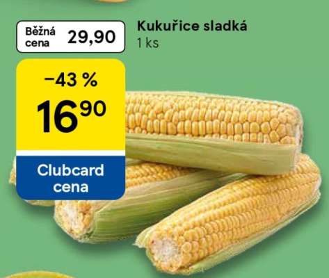 Kukuřice sladká