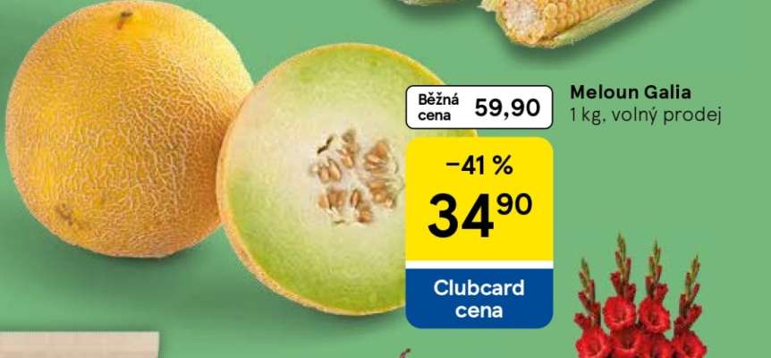 Meloun Galia
