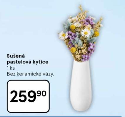 Sušená pastelová kytice
