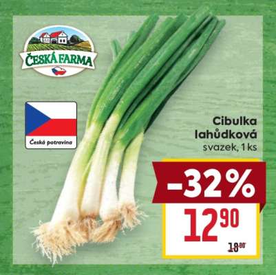 CIBULKA LAHŮDKOVÁ