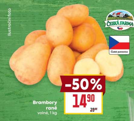 Brambory rané