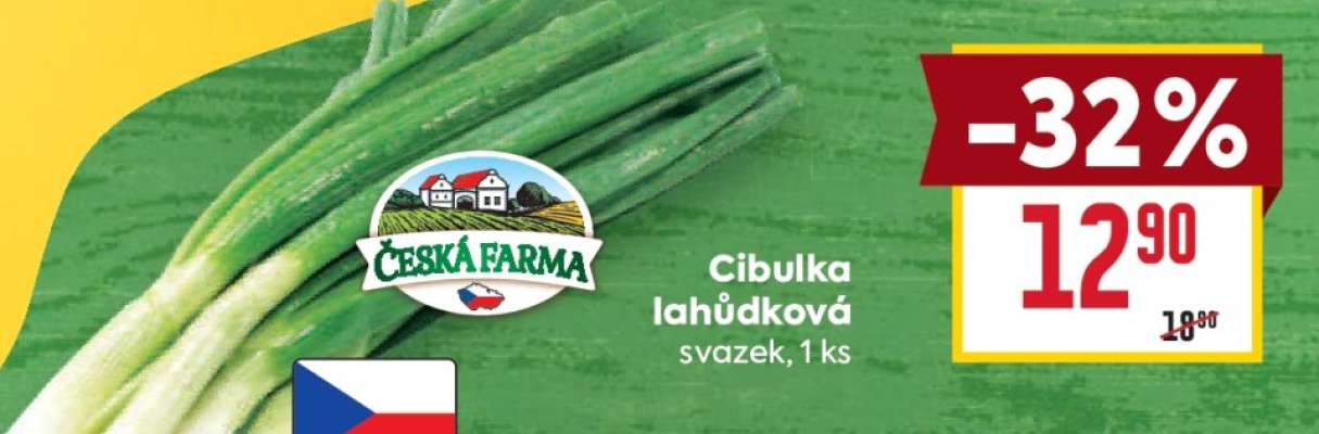 CIBULKA LAHŮDKOVÁ