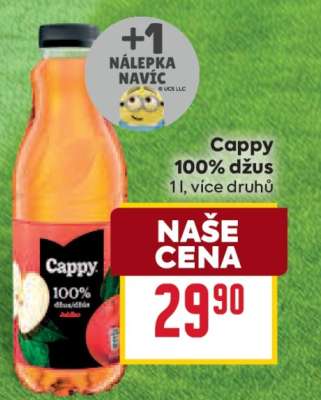 Cappy 100% džus