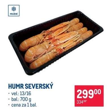 Humr severský