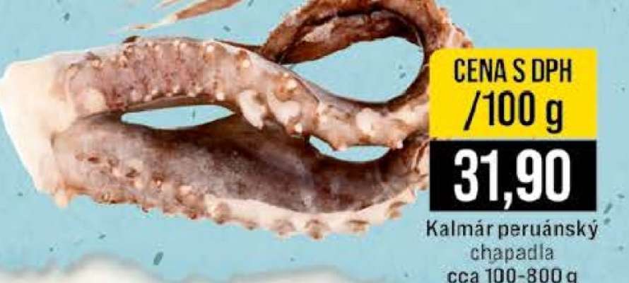 Kalmár peruánský chapadla