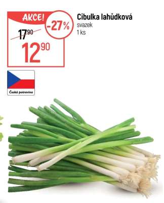 CIBULKA LAHŮDKOVÁ