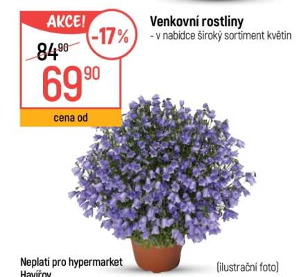 Venkovní rostliny