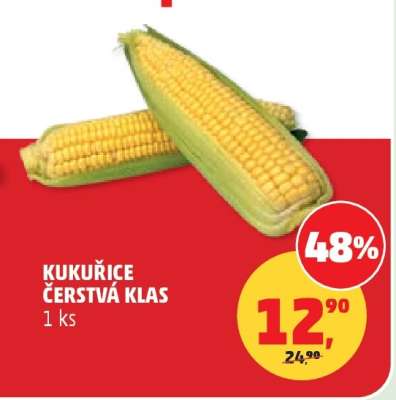 Kukuřice čerstvá klas