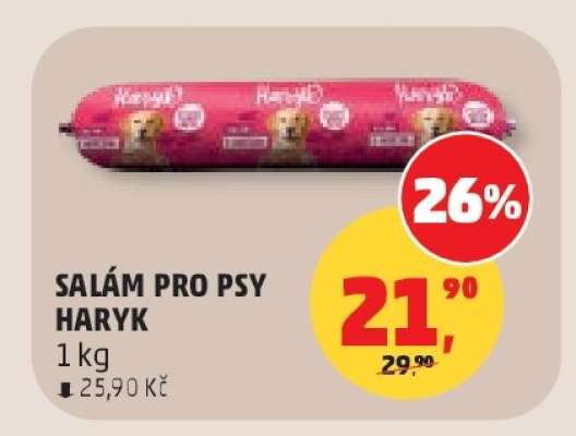 SALÁM PRO PSY HARYK