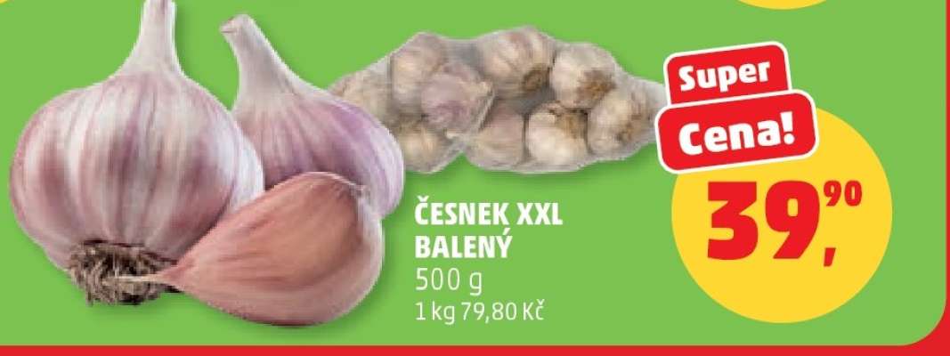 Česnek XXL balený