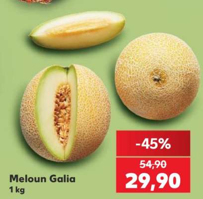 Meloun Galia