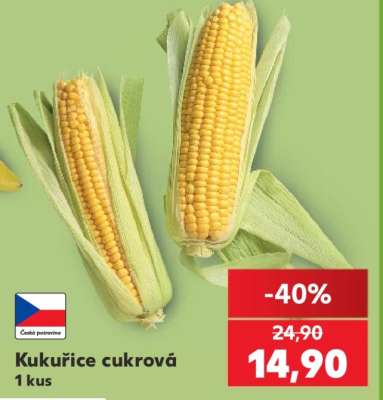Kukuřice cukrová