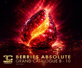 Dedra - Berries absolute