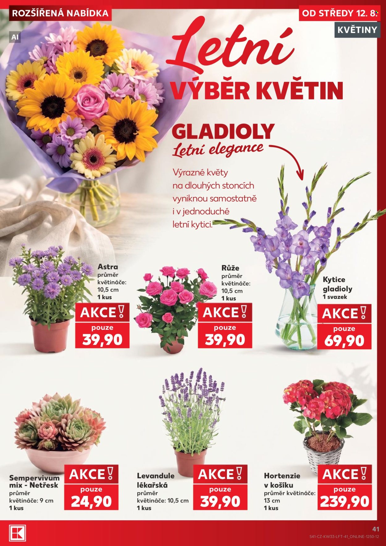 Leták Kaufland - 12. 8. 2026 - 18. 8. 2026. Strana 41
