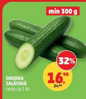 OKURKA SALÁTOVÁ