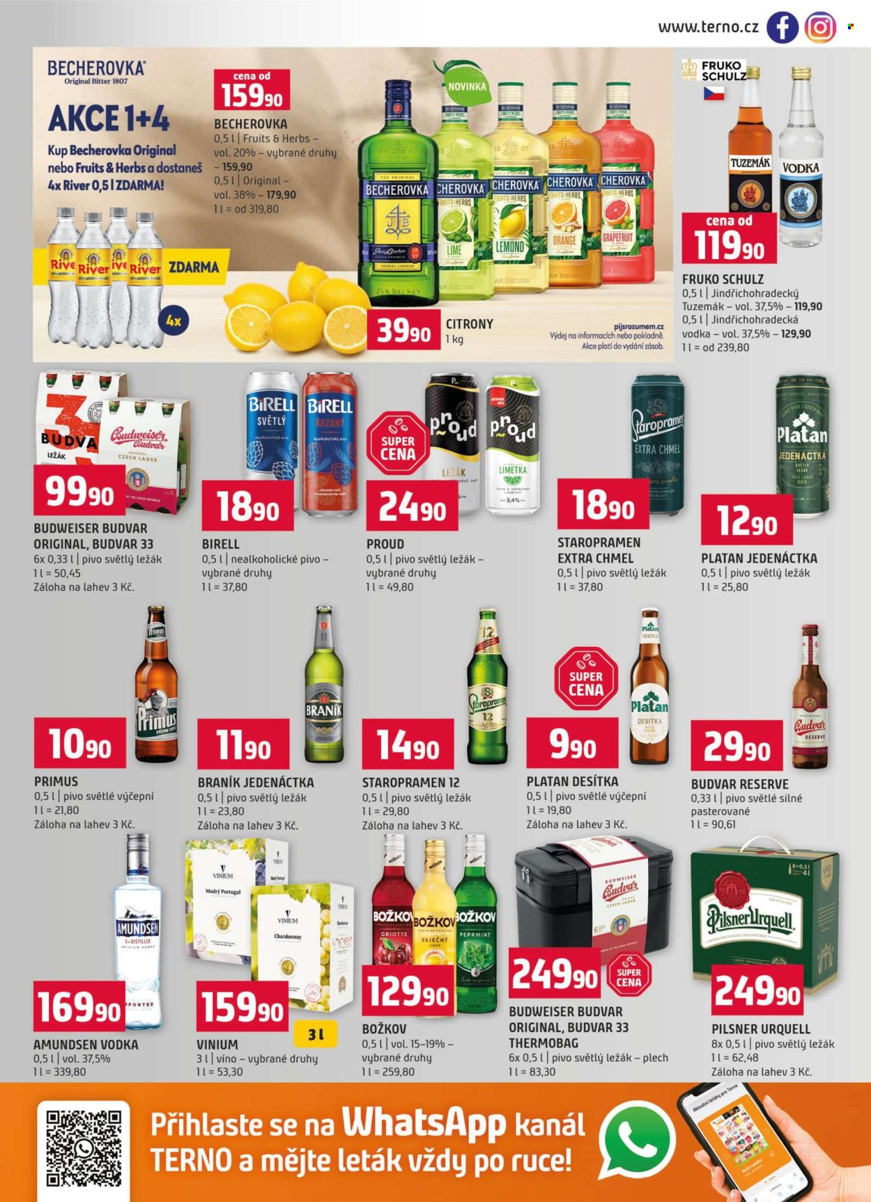 Leták coop TERNO - 12. 8. 2026 - 18. 8. 2026. Strana 13