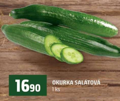 OKURKA SALÁTOVÁ