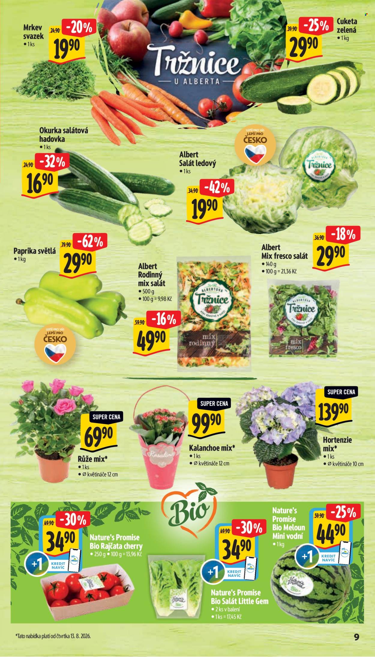 Leták Albert Supermarket - 12. 8. 2026 - 18. 8. 2026. Strana 15