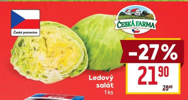 Ledový salát